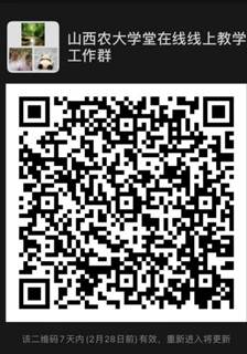 018e64a01755071387c28bb71d2e1f1